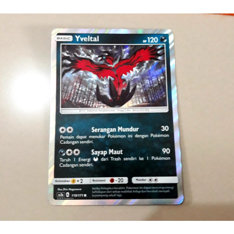 kartu pokemon Yveltal hologram