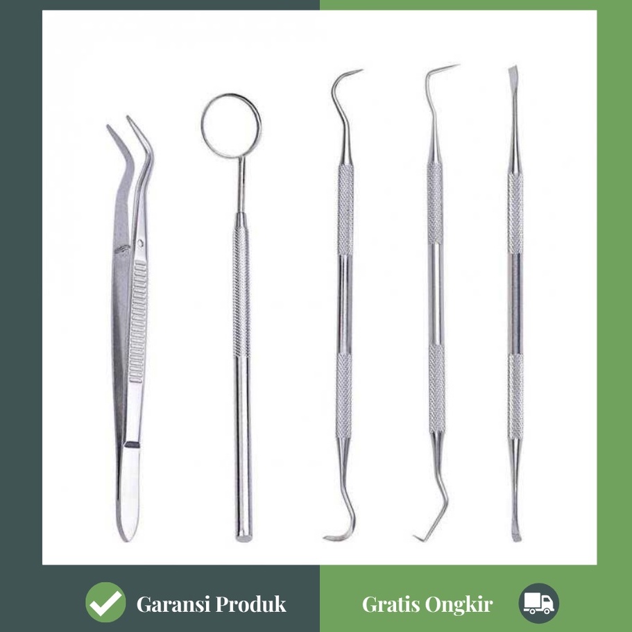 MPro Peralatan Gigi Oral Perawatan Dokter Gigi Dental Care 5 in 1 Set Stainless Steel Alat Pembersih MALL