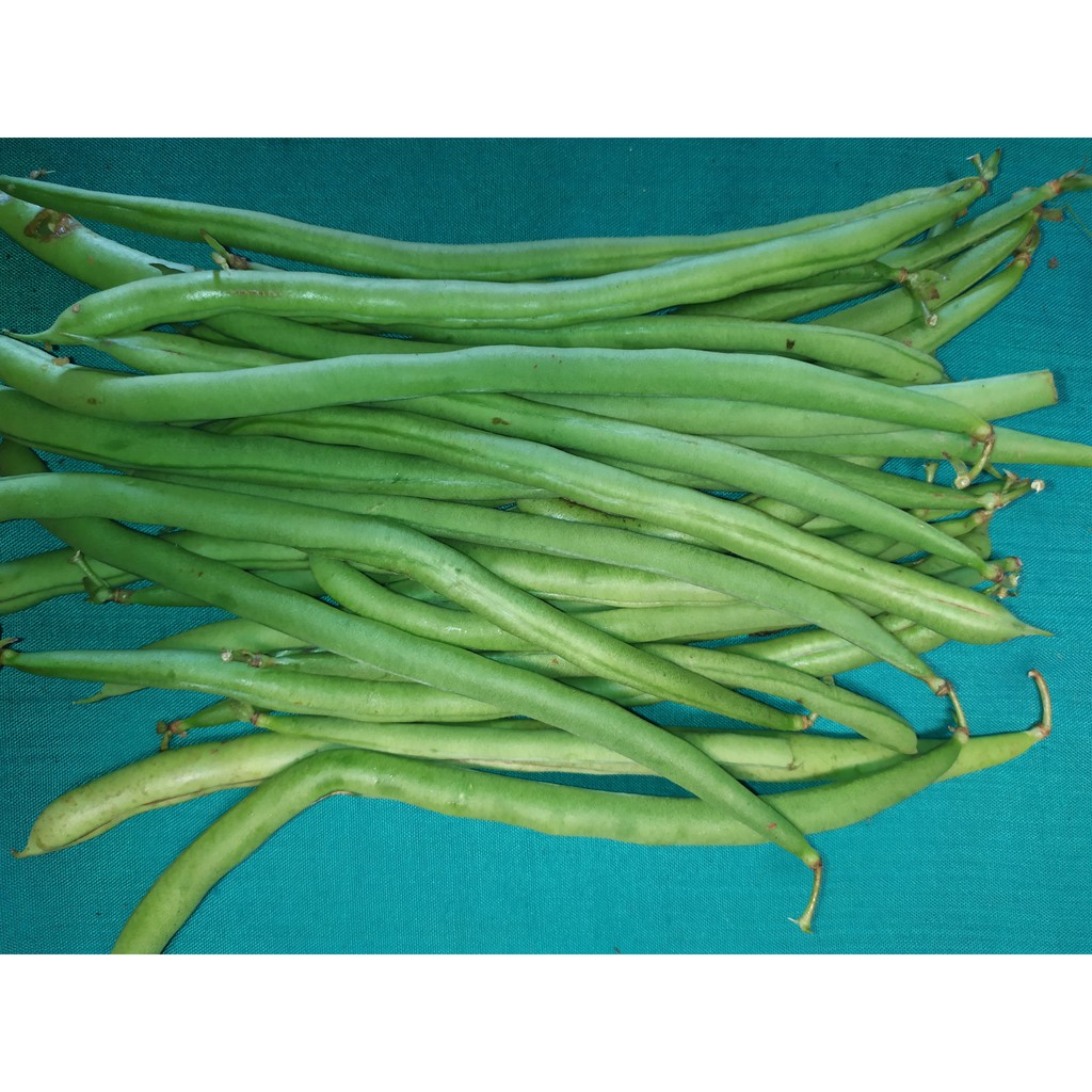 

Buncis 250 gram (GoSend Only)