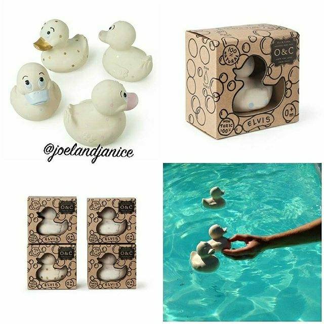Oil and Carol Duck Small