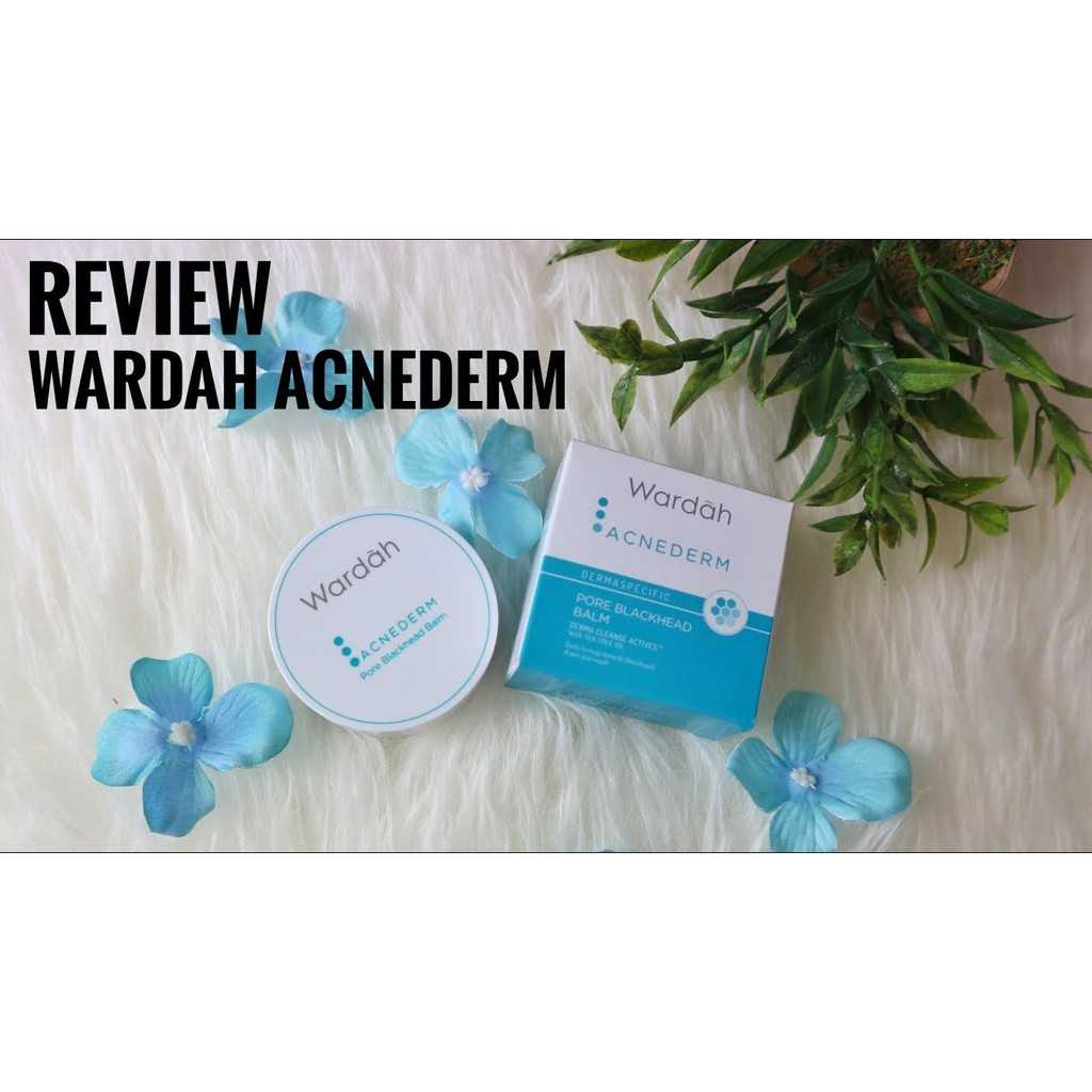 WARDAH Acnederm Pore Blackhead Balm 20gr Shopee Indonesia