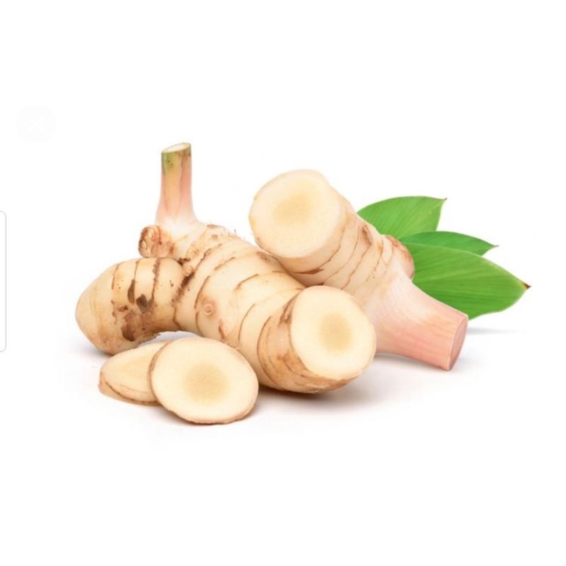 

Lengkuas 50 gr/100 gr/250gr