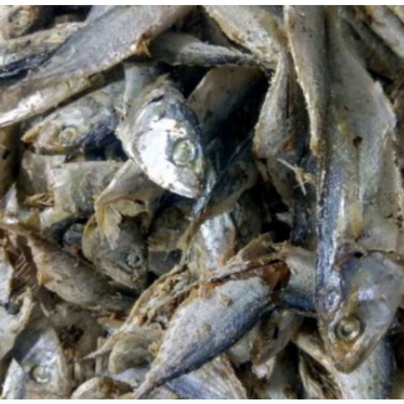 

Ikan Sampah Gembung 250 gr
