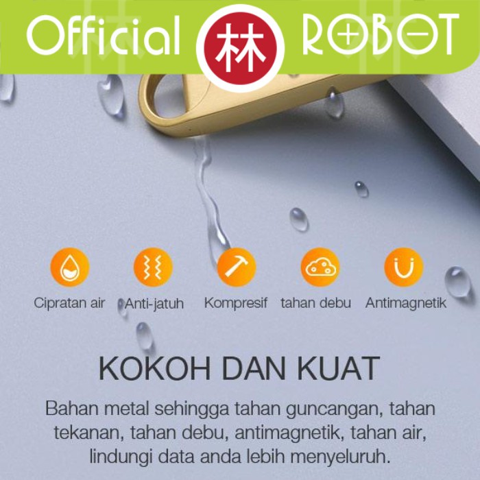 Robot RF304 4GB Flashdisk Metal High Speed &amp; Lightweight USB