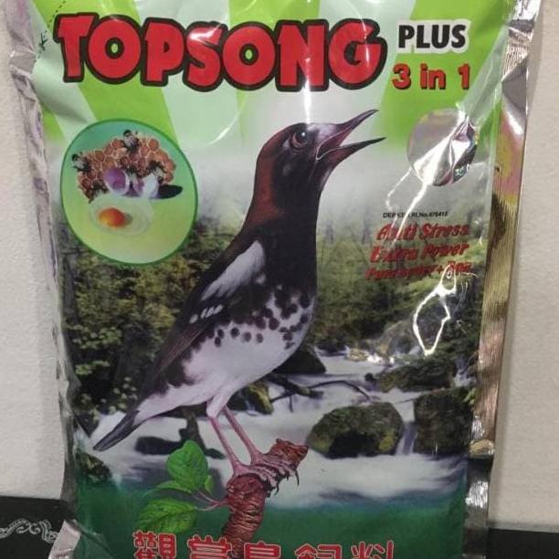 UMPAN BURUNG - Topsong Coklat / Topsong Kuning