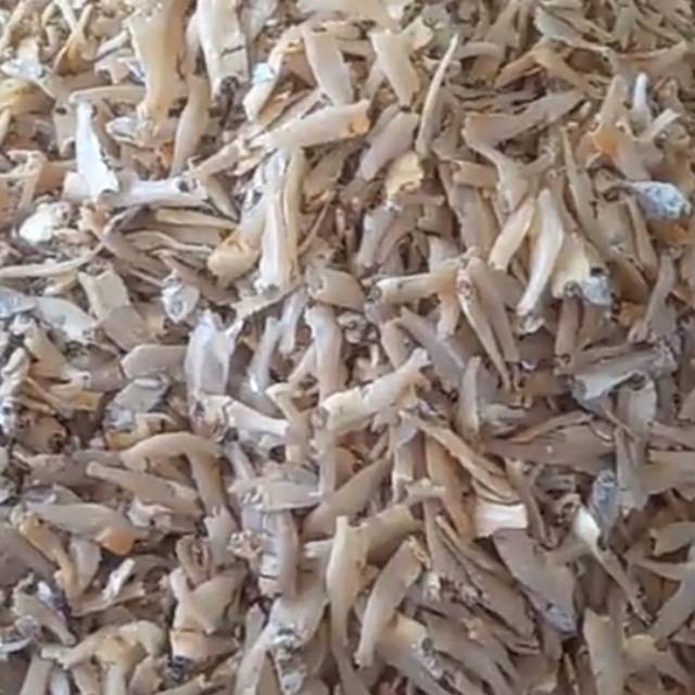 

Ikan teri gepeng.. PO pengiriman 4hari karena lgsg dari asahan..