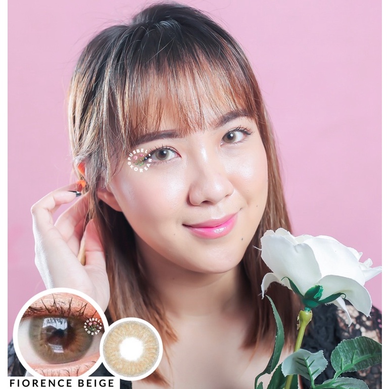 softlens fiorence gray beige original korea silicone hydrogel