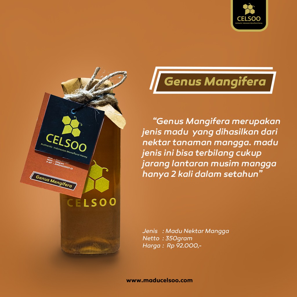 

Madu Murni Madu Mangga - Genus Mangifera - Madu Murni Celsoo Nektar Mangga