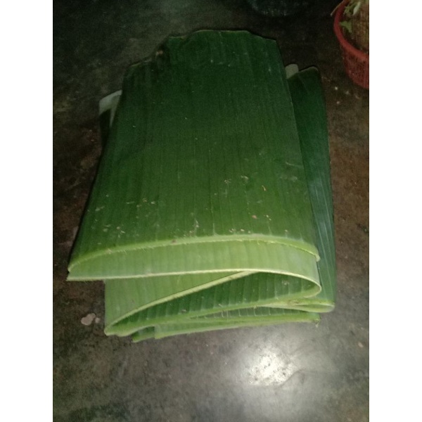 

Daun pisang besar siap pakai 1 kg