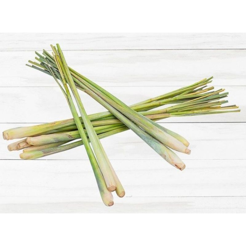 

serai segar banyak khasiatnya 500g