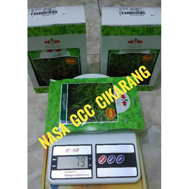 Bibit Benih Kangkung Serimpi 1500biji(±70gram) Cap Panah Merah