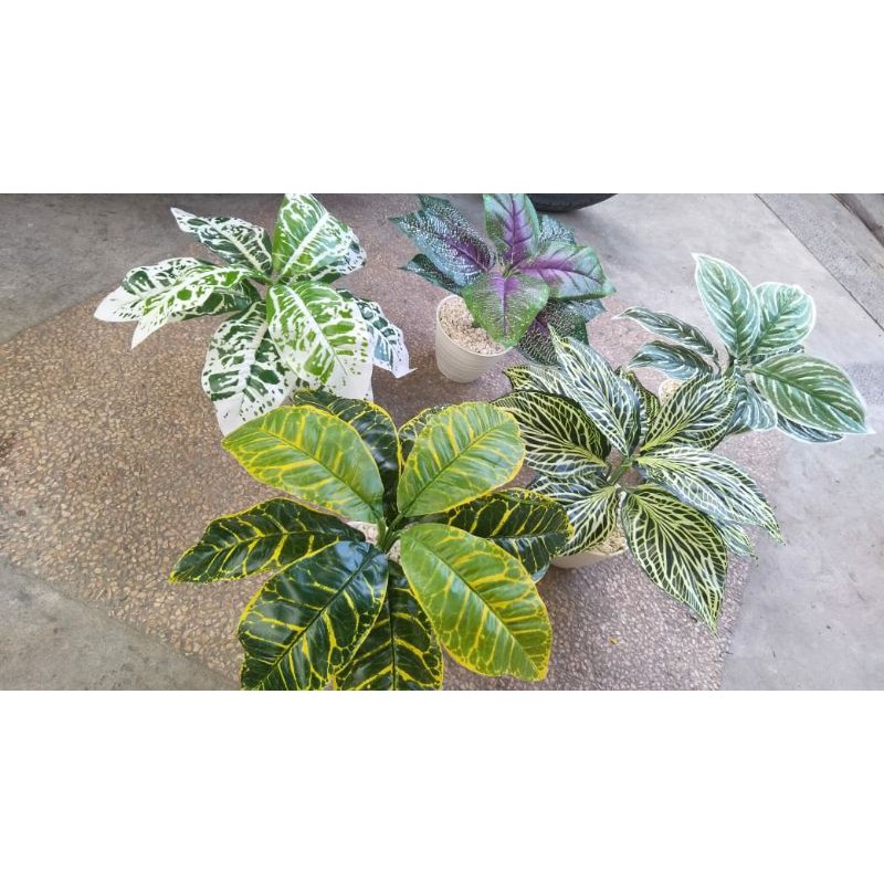 

bunga daun