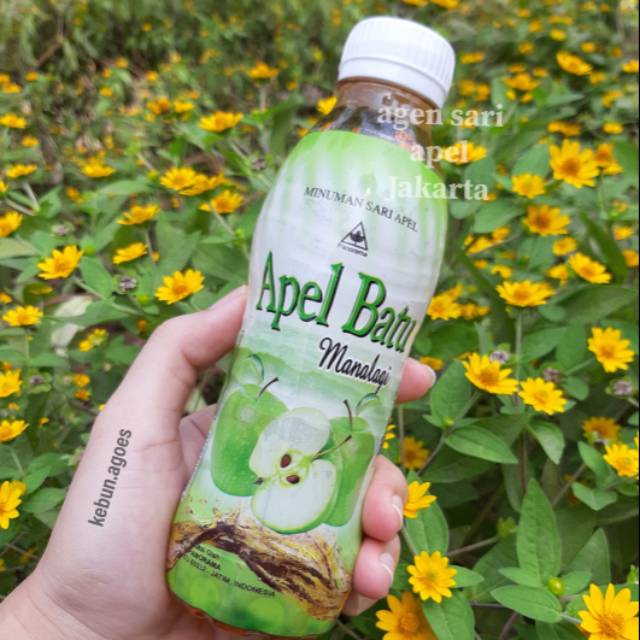 

SARI APEL Malang Panorama BOTOL 330ml isi 24 pcs