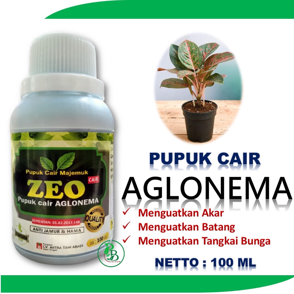 Pupuk aglonema merah nema grow