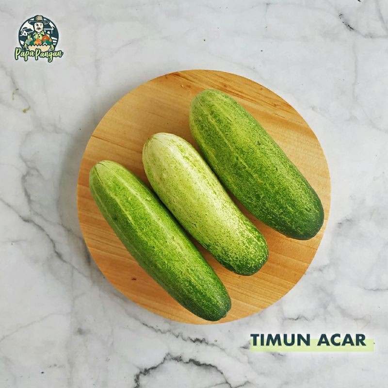 

Bogor Sayur Timun Acar Papapangan - 250 gram