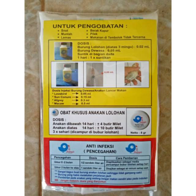 Obat Snot Injeksi Bahagia Untuk Burung Love Bird Dan Lainnya