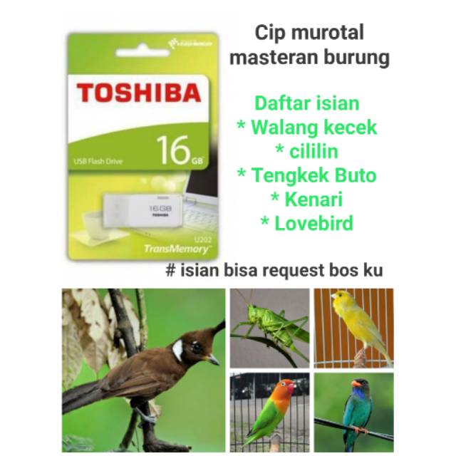 34+ Burung Lovebird Isian Pics