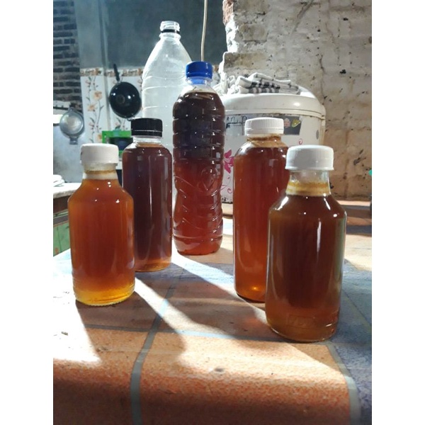 

madu klanceng/lebah trigona 250 ml