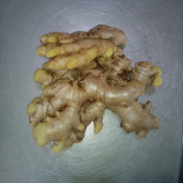 

Jahe lokal / jahe gajah