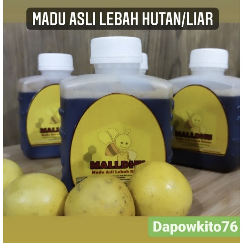 

Madu asli lebah hutan/liar (MALLDHU) 450 ml