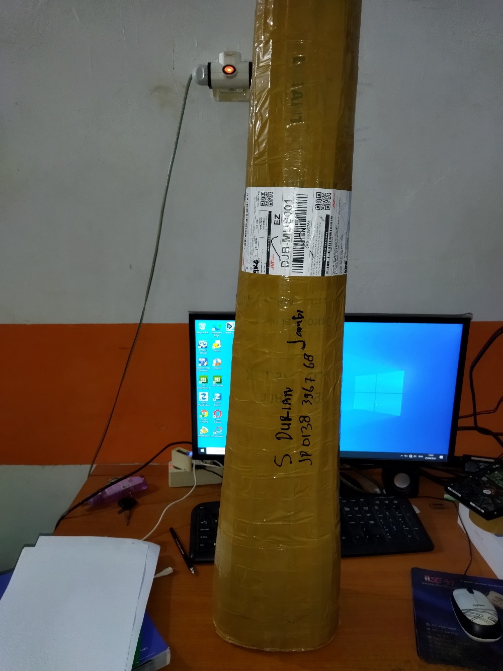 Bibit Durian Montong