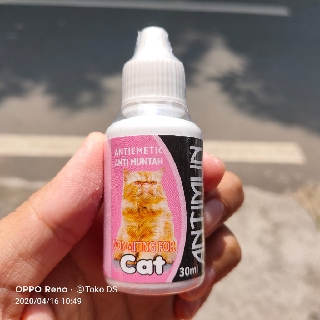 5 Penyebab Penyakit Ginjal Pada Kucing Pro Plan Indonesia