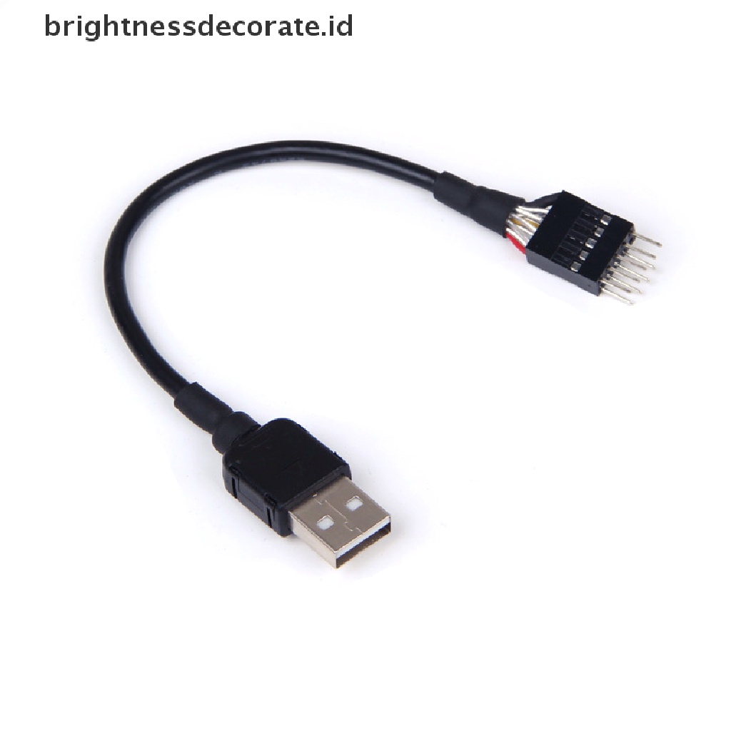 Kabel Ekstension Data Mainboard Internal 9 Pin Male Ke Usb A Male Eksternal