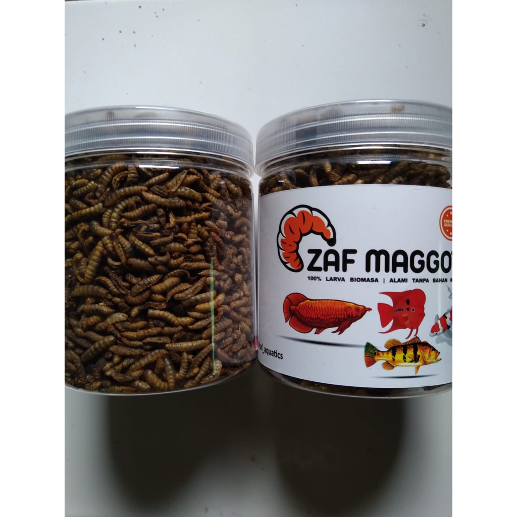 Pakan Ikan Larva Maggot Kering BSF - 100gr