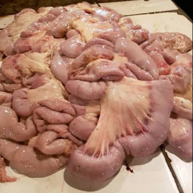 Usus Sapi 1 KG
