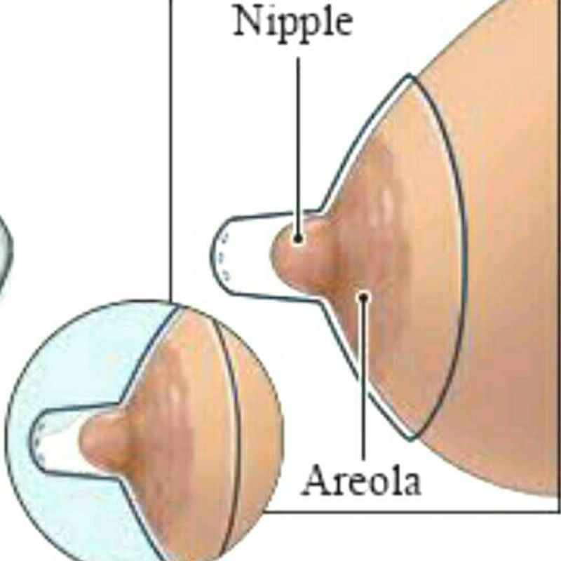 Nipple Shield LoveLL / Pelindung Puting 100% Silikon Food Grade