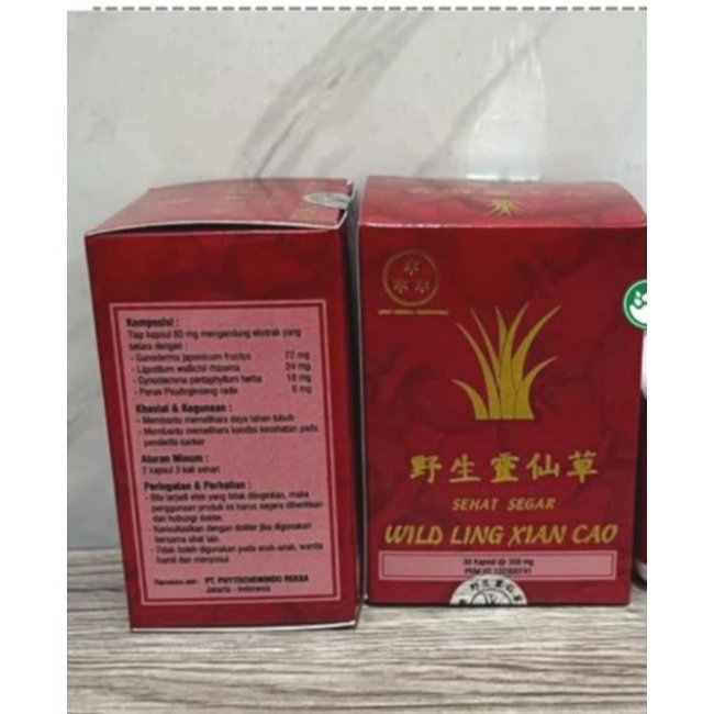 

Wild Ling Xian Cao untuk kanker tumor miom