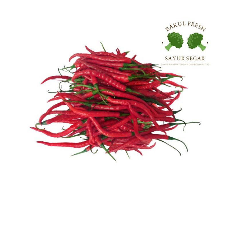 

Cabai merah kriting