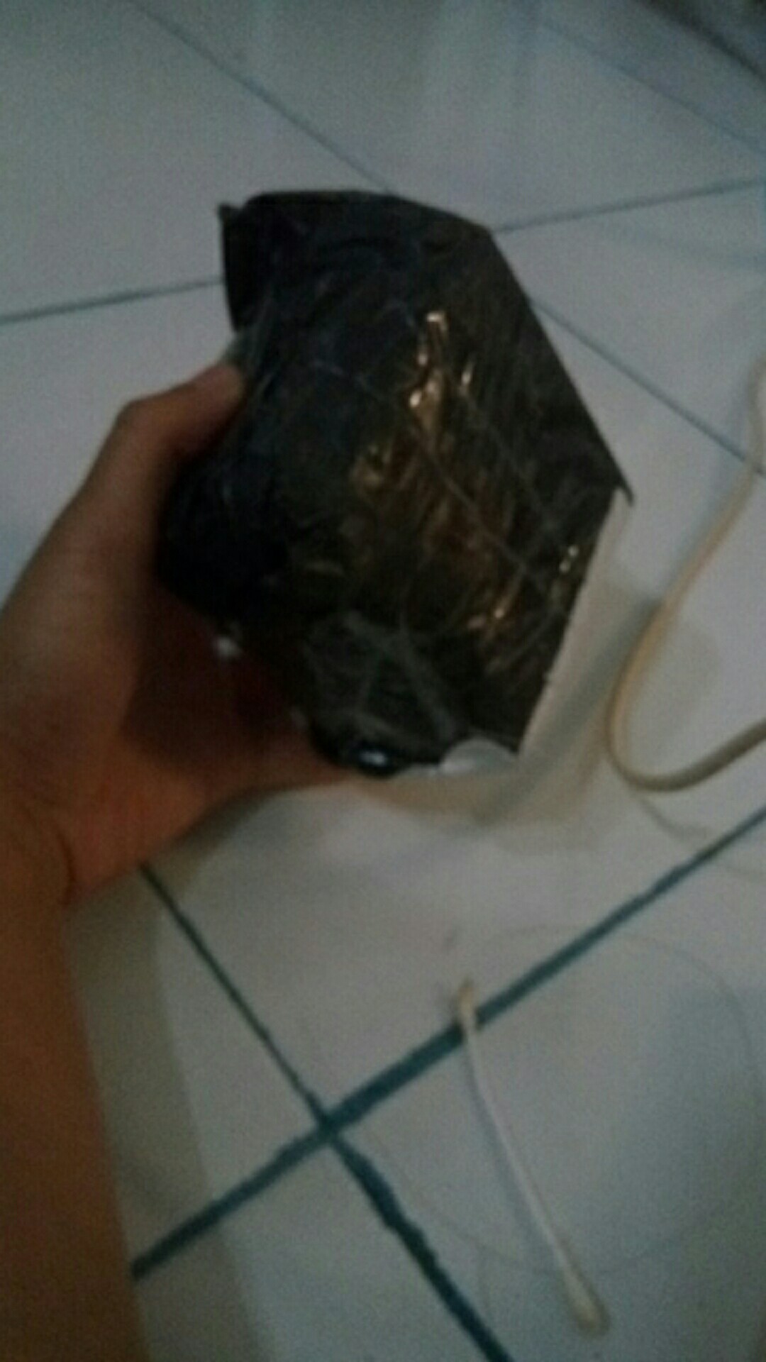 [lem Lalat] Obat Lalat- Racun Lalat Zhang Pei Zhen Ori 100%