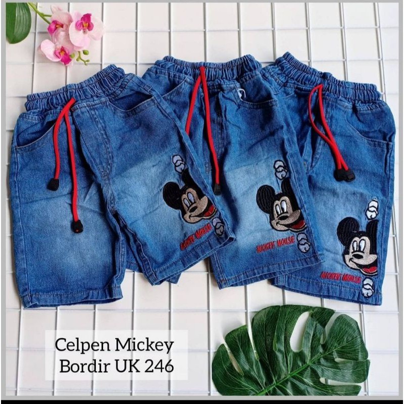 CELPEN MICKEY BORDIR