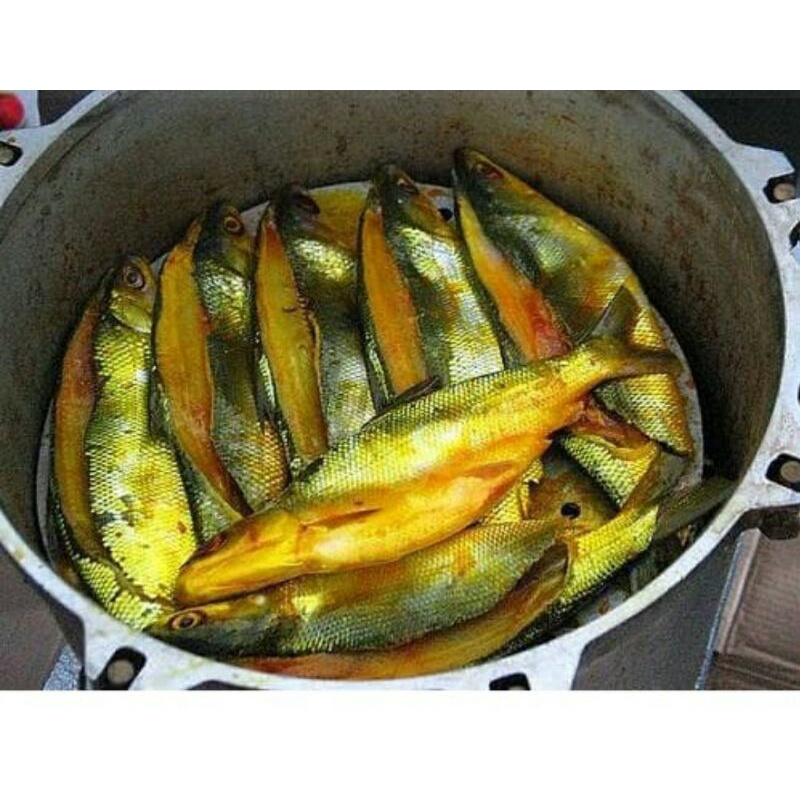 

ikan bandeng fresto 2 pcs