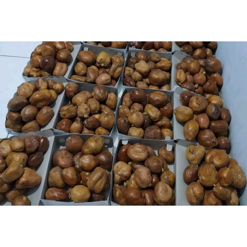 

buah zuriat