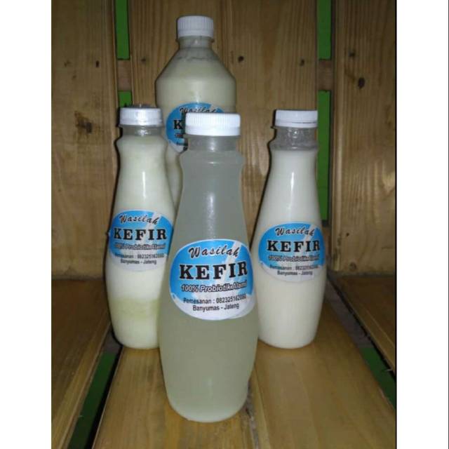 

SUSU KEFIR HOMEMADE PROBIOTIK ALAMI