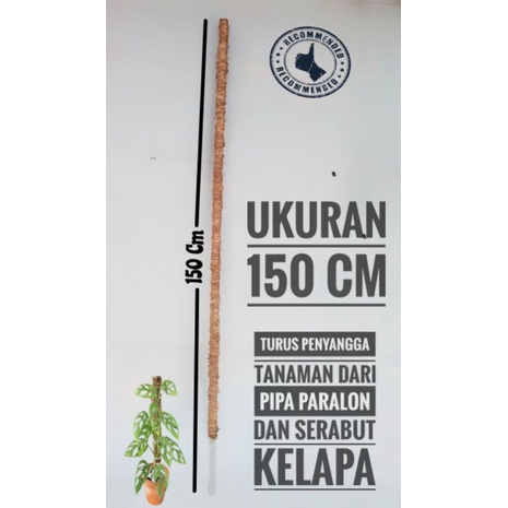 Turus penyangga tanaman 150 cm - Turus tanaman rambat pipa paralon