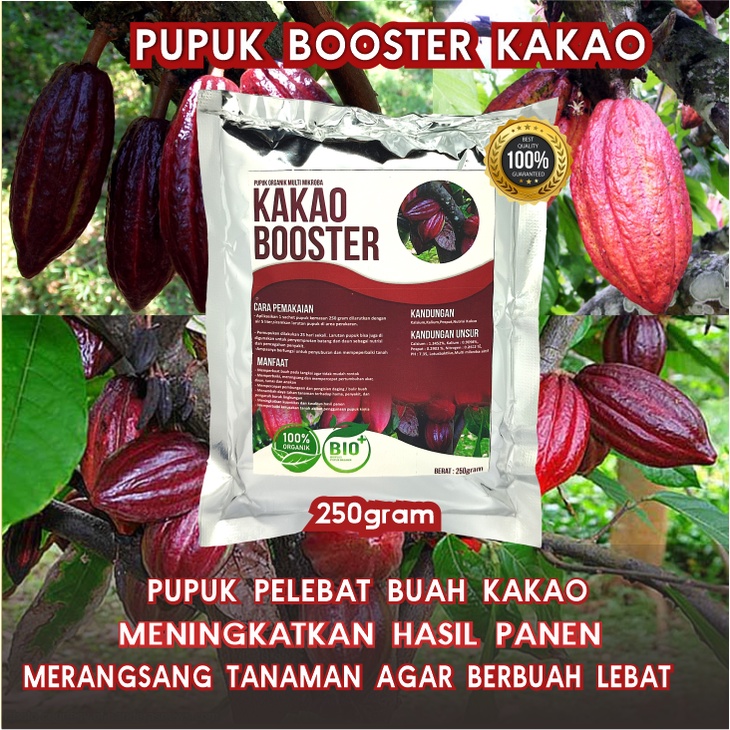 Pupuk Organik Pelebat Booster Kakao Perangsang Buah Kakao , Pupuk Pelebat Buah Kakao berkualitas Nutrisi Terbaik Cepat Berbuah Lebat,Pupuk Perangsang Kakao Organik dan Penyubur Tanaman Kakao