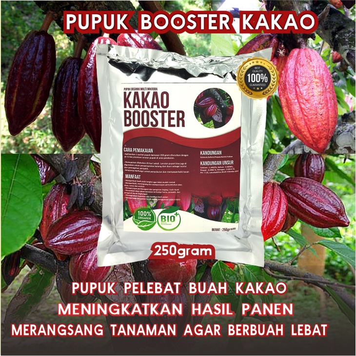 Pupuk Organik Pelebat Booster Kakao Perangsang Buah Kakao , Pupuk Pelebat Buah Kakao berkualitas Nut