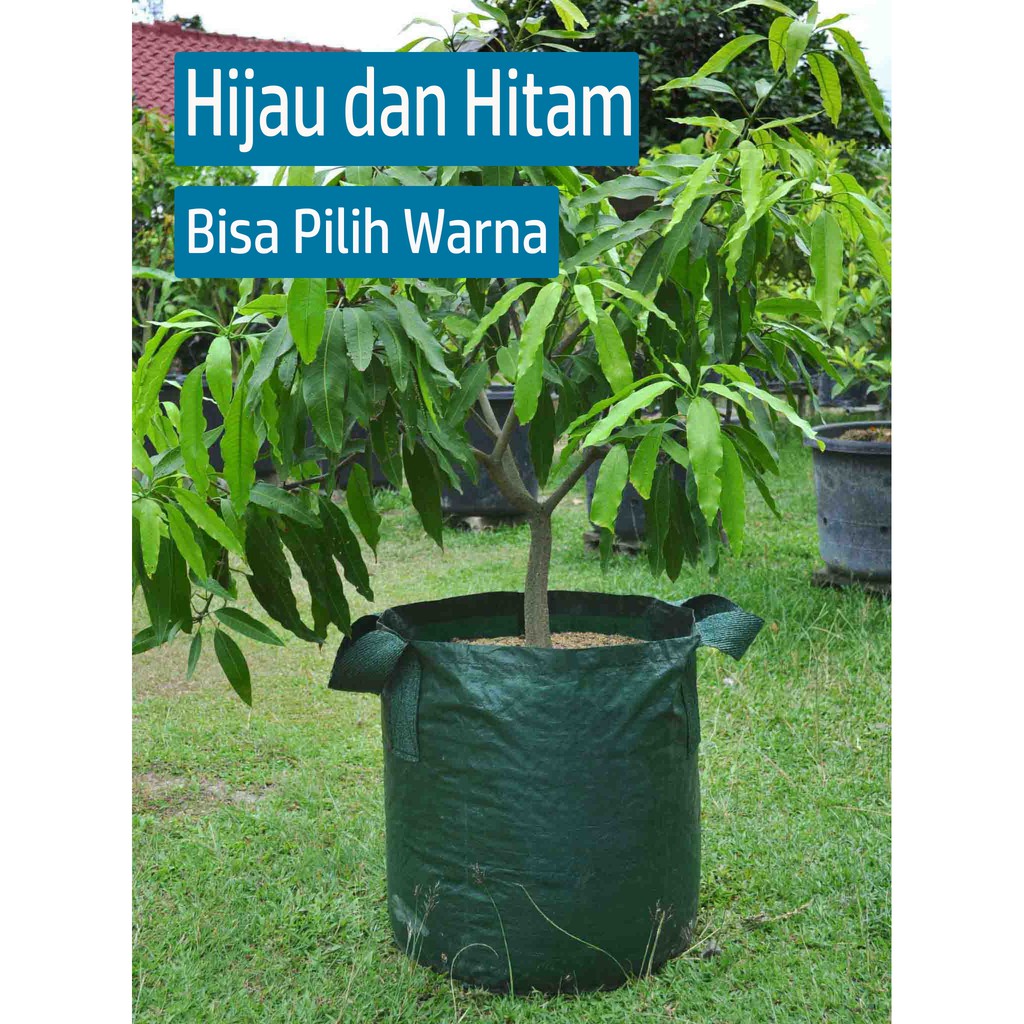 Planter bag 75 Liter EASY GROW planterbag 75liter easygrow kantong Pot polybag semai benih bibit Tanaman bunga sayuran buah planter bag