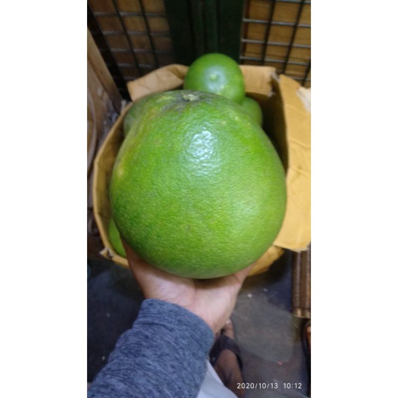 

Jeruk Bali madu /1 buah