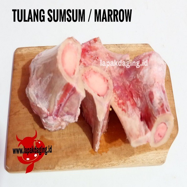 Tulang Sumsum / Marrow