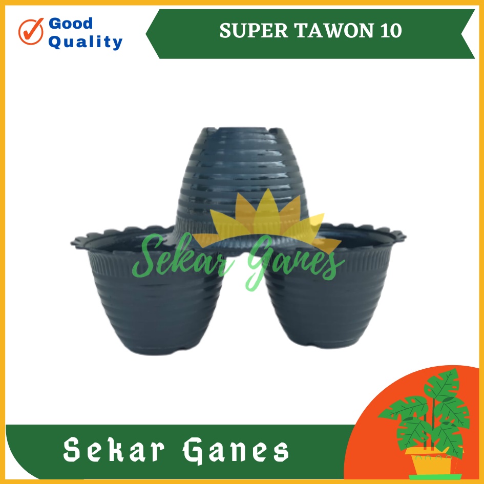 SEKARGANES Pot Super Tawon 10 Cm Hitam Garden Of Love Pot Tawon 10cm Lusinan Tirus Jet Putih Hitam