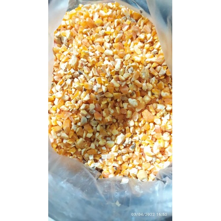 JAGUNG PECAH 1KG JAGUNG MAKANAN PERKUTUT/JAGUNG GILING