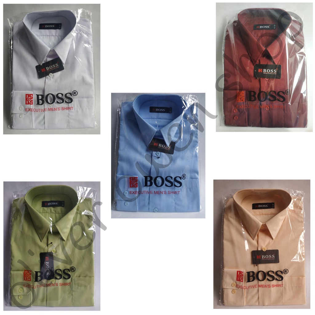 Kemeja Reguler Fit Lengan Panjang BOSS