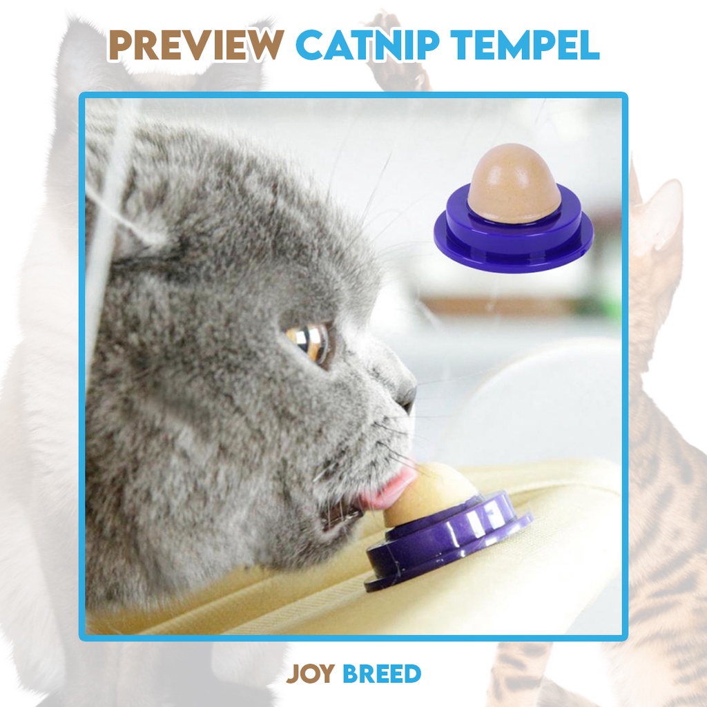 CATNIP KUCING CATNIP TEMPEL PERMEN CATNIP PENGHILANG STRESS KUCING | JOY BREED OFFICIAL