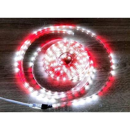 Led Strip Led Selang Merah Putih Outdoor SMD  Led Hias Agustusan RGB / MERAH PUTIH