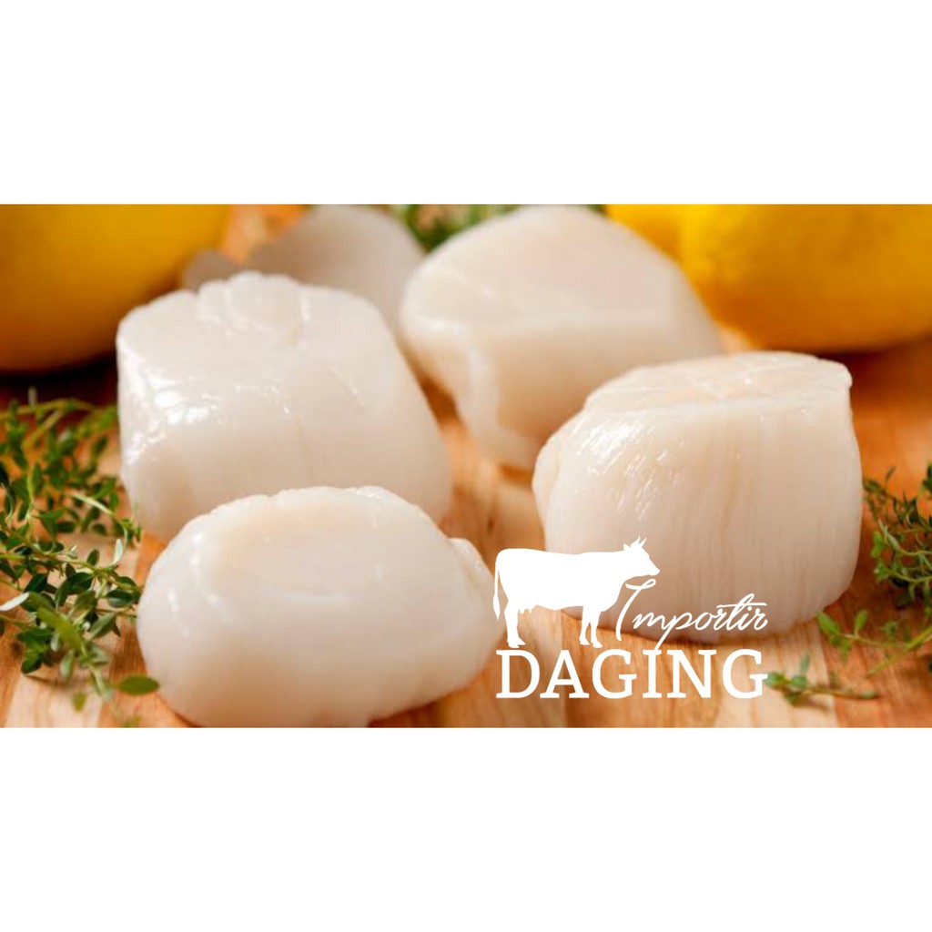 

Scallop / Kerang Kampak / Kerang Simping @250gr
