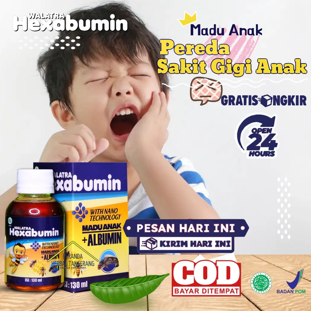 WALATRA HEXABUMIN - Obat Sakit Gigi Anak - Obat Sakit Gigi Anak 3 Tahun, Obat Gigi Berlubang Untuk B